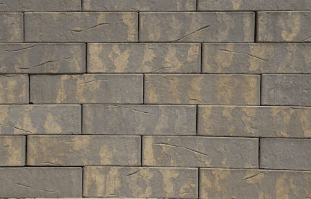 Кротовский Альфар 1НФ