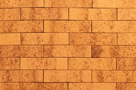 Тайга морошка 1нф