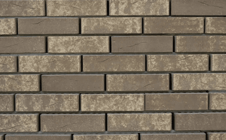 Кротовский Ламарк 1НФ